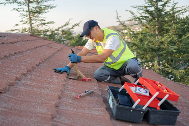 Best Roof Gutter Cleaning  in Lexington, MI