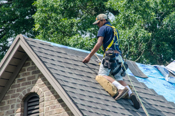 Best Metal Roofing Contractor  in Lexington, MI